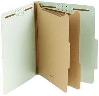 AmazonBasics Pressboard Classification File Folder with Fasteners, 2 Dividers, 2 Inch Expansion, Letter Size, Gray/Green, 10-Pack