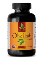 Immune Support - Natural Olive Leaf Extract 500MG - Olive Leaf Capsules - 1 Bottle (60 Capsules)