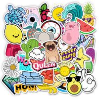 Cartoon Water Bottle Stickers for Kids, Teen Girl Cute Trendy Laptop Notebook Phone Computer Guitar Skateboard Luggage Vinyl Decal (VSCO)