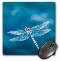 3D Rose"Dragon Fly Over Blue Water in Ninepipe Wildlife Refuge Montana" Matte Finish Mouse Pad - 8 x 8" - mp_231131_1