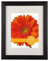 V-LIGHT Poster Frame 16" x 20", Pack of Two, Cappuccino (VF1068275B.1620.2)