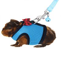 RYPET Guinea Pig Harness and Leash - Soft Mesh Small Pet Harness with Safe Bell, No Pull Comfort Padded Vest for Guinea Pigs, Ferret, Chinchilla and Similar Small Animals