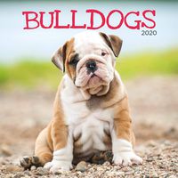 Turner Photo Bulldogs 2020 12X12 Photo Wall Calendar (20998940009)