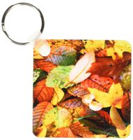 3dRose Fall Leaves - Key Chains, 2.25 x 4.5 inches, set of 6 (kc_1001_3)