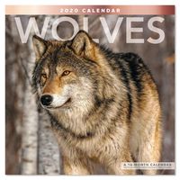 2020 Wolves Wall Calendar (LME1681020)