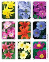 Eureka Flowers Stickers, Giant (650035)