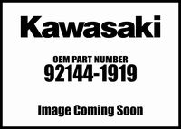 Kawasaki 92144-1919 Front Heavy Load Spring, Pack of 2
