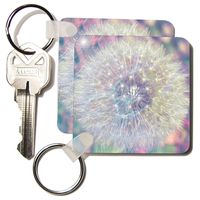 3dRose Making a Wish Vision- Pastel Dandelion- Flowers - Key Chains, 2.25 x 4.5 inches, set of 2 (kc_33727_1)