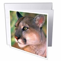 3D Rose Greeting Card with Envelope, Set of 1 (gc_88204_5)