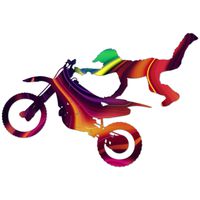 Decal Serpent Motocross Abstract Silhouette Color Vinyl Sports Car Laptop Sticker - 6"