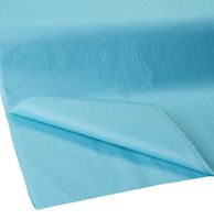 Jillson Roberts Bulk 20 x 30 Inches Recycled Tissue Available in 28 Colors, Aqua, 480 Unfolded Sheets (BFT44)