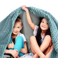 Quility Premium Kids Weighted Blanket & Removable Cover | 10 lbs | 41"x60" | for a Child Between 90-120 lbs | Single Size Bed | Premium Glass Beads | Cotton/Minky | Grey/Aqua Color