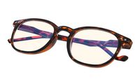Computer Glasses - Blue Light Blocking Glasses - Anti Blue Light Glasses - Classic Vintage Style Tortoise Frame +1.25