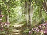 Hi-Look Microfiber Cleaning Cloth - Forest of Life