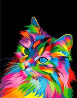iFymei DIY Oil Painting , Paint by Numbers Kits for Kids & Adults & Beginner , 16 x 20 inch Canvas & Acrylic Paints - Colorful Cat