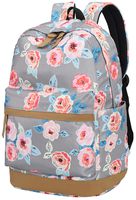 Laptop School Backpack Girls Bookbags Schoolbag for Teens University Travel Daypack (Grey backpack 0019)