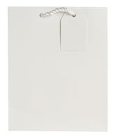 Jillson Roberts Bulk Medium Gift Bags Available in 19 Colors, White Matte, 120-Count (BMT924)