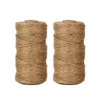 Tenn Well Natural Jute Twine, 656 Feet 2Ply Brown Twine String for Crafts, Gift Wrapping, Packing, Gardening and Wedding Decoration (2PCS X 328 Feet)