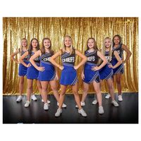 ShiDianYi Gold-SEQUIN BACKDROP-8FTx10FT Sequin Photo Backdrop,Photo Booth Background,Sequence Christmas Backdrop Curtain ON SALE