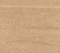 Micro/Passion Suede Fabric 58" Wide Sold by The Yard (Parchment #8)