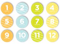 Tiny Ideas First Year Monthly Milestone Photo Sharing Baby Belly Stickers, 1-12 Months, Neutral