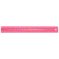Westcott Kid's Sports Gymnastics Ruler, 12-Inch (16866)