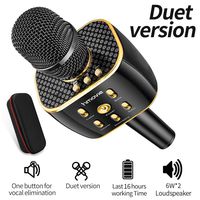 Dual Sing Duet Version Wireless Karaoke Microphone 12w Hi-Fi Bluetooth Speaker Player for iPhone Android Smartphone, The Latest in 2019