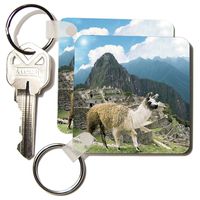 3dRose Peru, Machu Picchu, Llama - SA17 MGL0018 - Miva Stock - Key Chains, 2.25 x 4.5 inches, set of 6 (kc_87068_3)