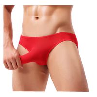 ManxiVoo Mens Sexy Elephant Bulge Briefs Underwear Pouch T Lingerie Underpants Shorts Ice Silk Knickers (XXL, Red)