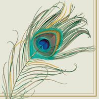 Ideal Home Range L533900 20 Count Luncheon Paper Napkins, Peacock Feather