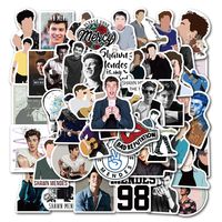 Singer Shawn Mendes Stickers for Water Bottle,Waterproof Durable Trendy Stickers Pack for Teens, Water Bottles, Computer, Travel Case(Shawn Mendes)