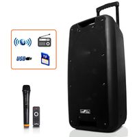 BEFREE SOUND 10" Bluetooth Portable Rechargeable Party Speaker with USB/TF, Microphone Input & FM Radio