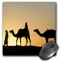 3dRose LLC 8 x 8 x 0.25 Inches Mouse Pad, Desert Camels are a Way of Transportation,and are Also Used for Racing at Dubai Camel Racecourse 3 (mp_10068_1)
