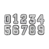 Libiline Sequins Number 0-9 Embroidered Patch Sew On/Iron On Patch Applique Clothes Dress Plant Hat Jeans Sewing Flowers Applique DIY Accessory (Sequin Number 0-9)