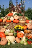 CSFOTO 5x7ft Thanksgiving Backdrop Autumn Harvest Scenery Pumpkins Haystack Potted Tree Sky Thanksgiving Party Banner Children Adult Portrait Photo Studio Vedio Props Polyester Wallpaper