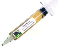 Root mushroom Farm- 30 Mushroom Liquid Cultures/Black Morel(Morchella importuna)