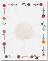 Masterpiece Daisies Letterhead - 8.5 x 11 - 25 Sheets
