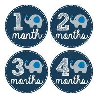 Pinkie Penguin Elephant Baby Monthly Stickers - Milestone Onesie Stickers - 1-12 Months - Baby Boy Month Stickers