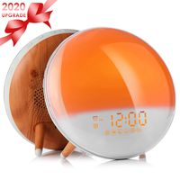 Wake Up Light Alarm Clock, Sunrise/Sunset Simulation Alarm Clock with Dual Alarms,Snooze Function, 7 Colors Atmosphere Lamp, FM Radio＆7 Natural Sound, USB Charger for Kids Adults Bedroom Home Office