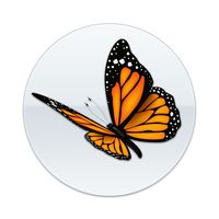 2X Sticker Set - Butterfly - for Phone Grip Stent Cell Phones Tablets (Stickers Only)