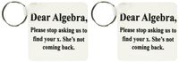 3dRose Dear Algebra please stop asking us to find your x - Key Chains, 2.25 x 4.5 inches, set of 2 (kc_171887_1)