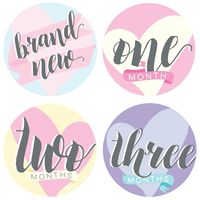 Bobee Baby Girl Milestone Stickers Memory Props, 13 Stickers Months one - Twelve and Brand New Sticker