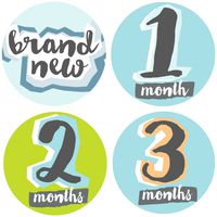 Bobee Baby Boy Milestone Stickers Memory Props, 13 Stickers Months one - Twelve and Brand New Sticker