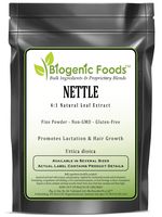 Nettle - 4:1 Natural Leaf Fine Powder Extract (Urtica dioica), 2 kg