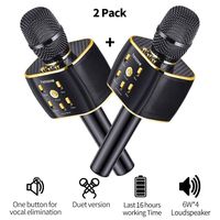 Dual Sing Duet Version Wireless Karaoke Microphone 12w Hi-Fi Bluetooth Speaker Player for iPhone Android Smartphone, 2019 Upgraded Bluetooth Karaoke Machine