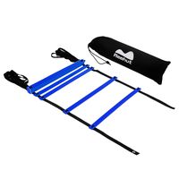 REEHUT Agility Ladder Speed Training Exercise Ladders (Blue, 12 Rungs)  w/ Free User E-Book + Carry Bag