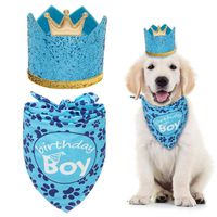 EXPAWLORER Dog Birthday Bandana with Crown Hat - Triangle Scarfs and Cute Party Hat for Pets, Blue