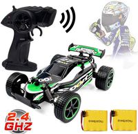 Blexy RC Racing Cars 2.4Ghz High Speed Rock Off-Road Vehicle 1:20 2WD Radio Remote Control Racing Toy Cars Electric Fast Race Buggy Hobby Car Green 211 (Green)