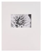 Nielsen Bainbridge PRE-Cut Landscape 11"X14" ARTCARE White MAT with 4"X6" Opening