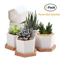 Succulent Plant Pots,OAMCEG 2.75 inch Mini Succulent Planter, Set of 6 White Ceramic Succulent Cactus Planter Pots with Bamboo Tray(Plants NOT Included)